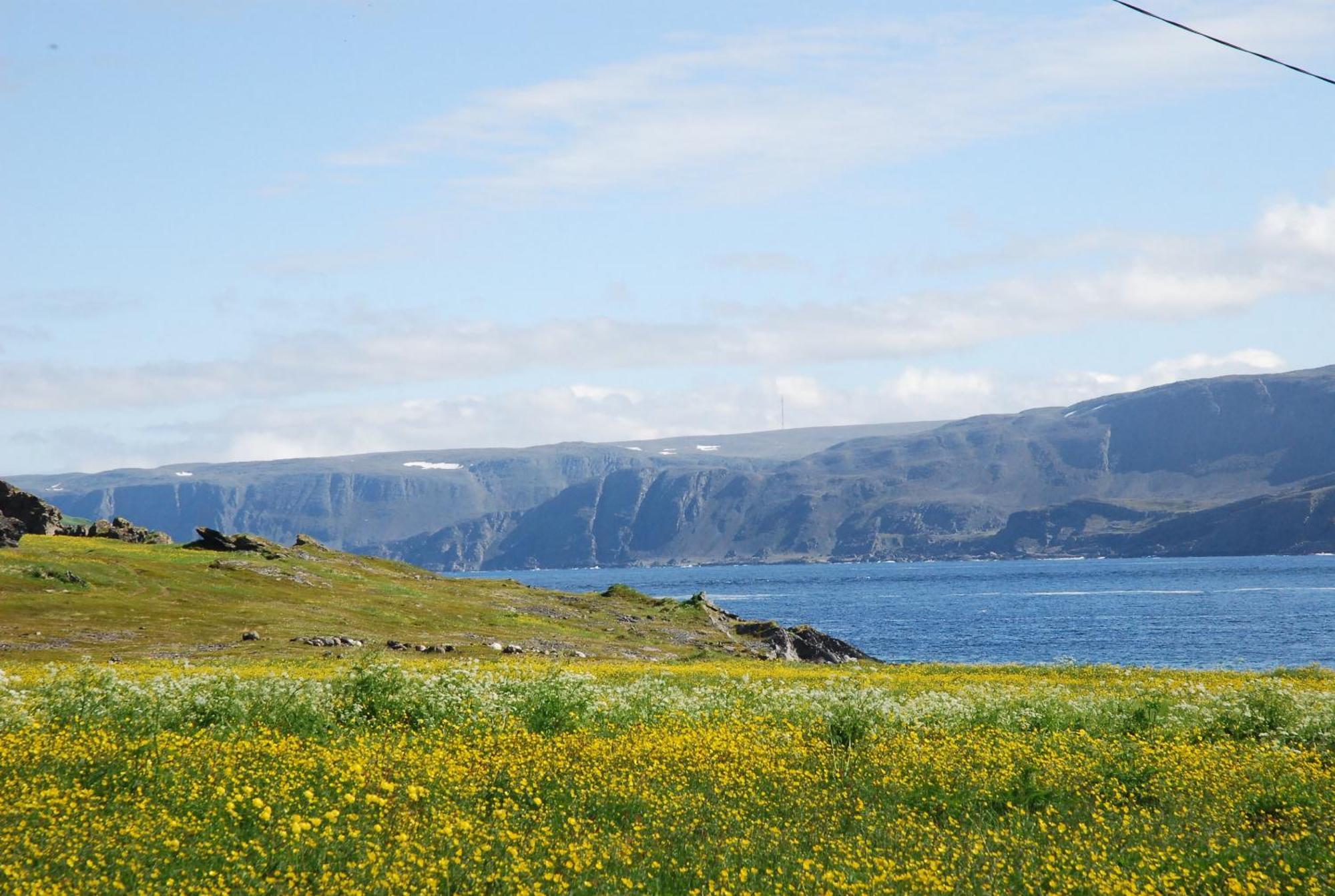 Kongsfjord Holiday Home Exterior photo